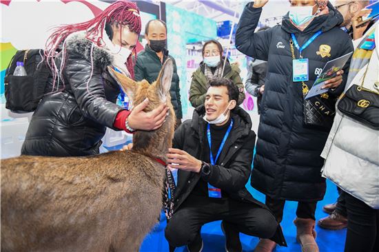 “冬奥冰雪·吉致视界”外籍友人新年吉林行活动启幕