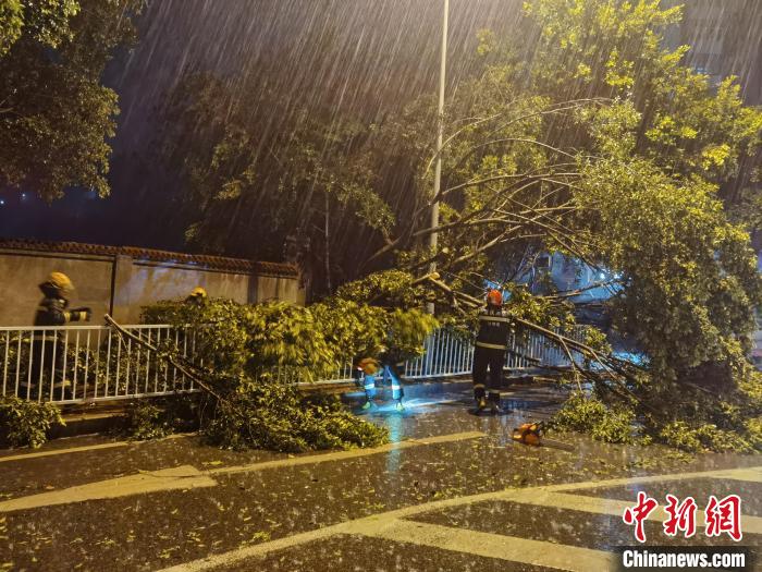 重庆多地遭遇狂风暴雨袭击