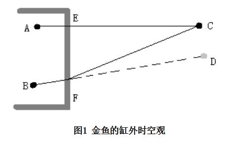 胡昌伟 物理真实的层次