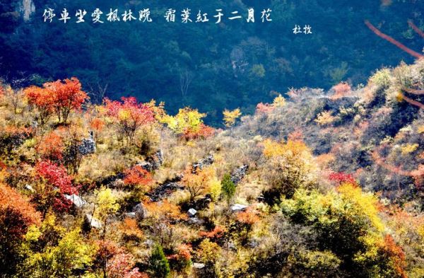 马韩进摄影作品精选(二) 马韩进摄影作品精选(二)