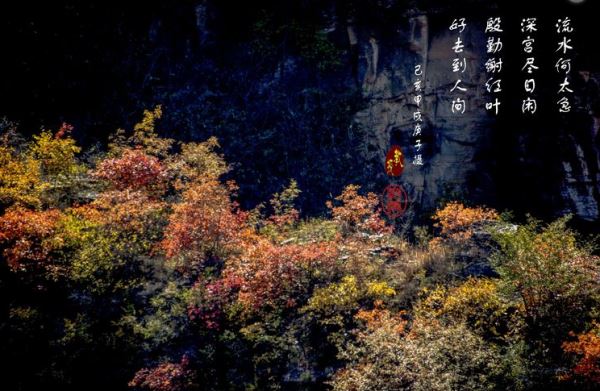 马韩进摄影作品精选(二) 马韩进摄影作品精选(二)