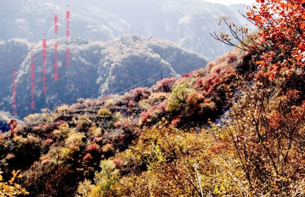 马韩进摄影作品精选(二) 马韩进摄影作品精选(二)