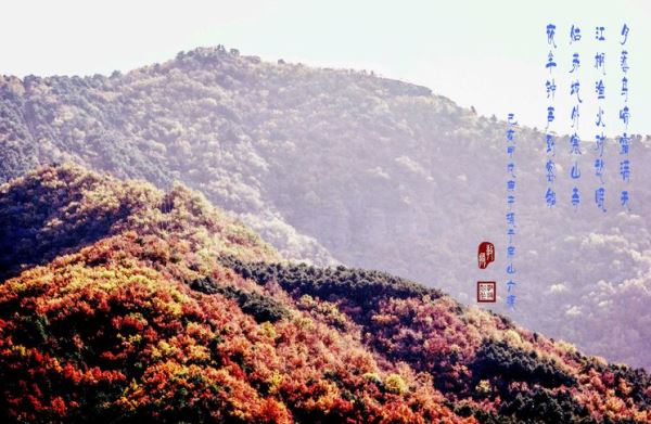 马韩进摄影作品精选(二) 马韩进摄影作品精选(二)