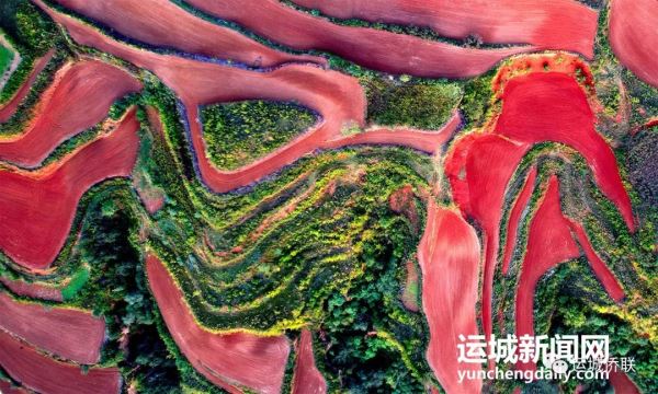 我的运城｜垣曲：层层麦田好画卷