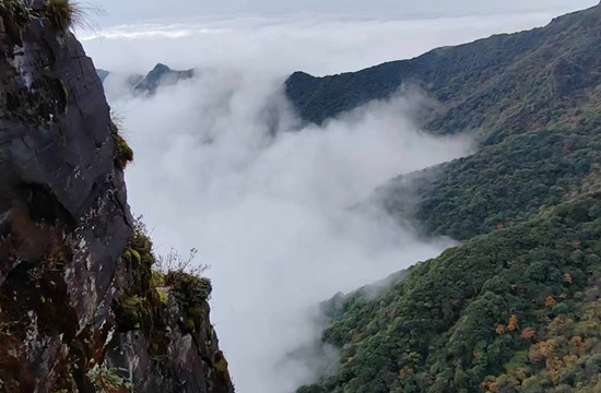 海外华媒聚焦梵净山：助力梵天净土跃升为全球游客旅游圣地